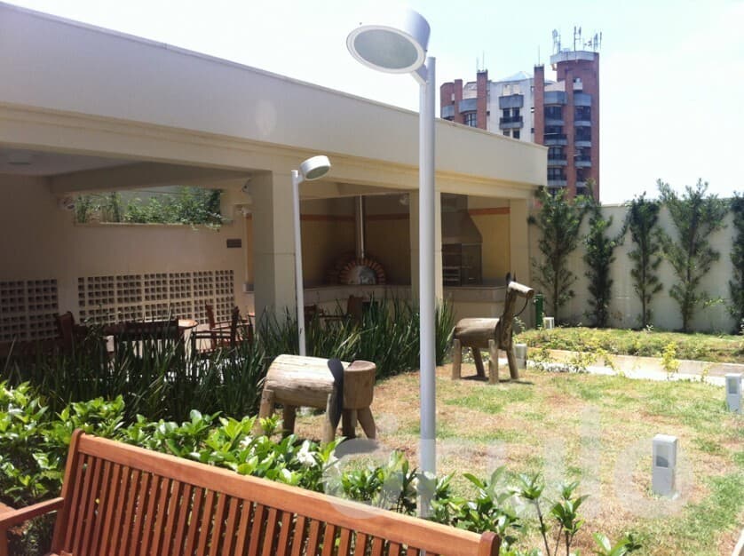 Miniatura 10